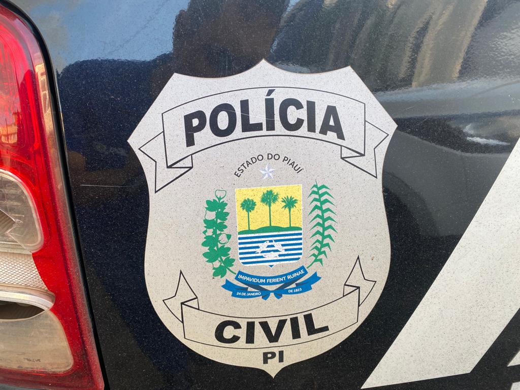 Polícia Civil recebe viaturas descaracterizadas para uso em