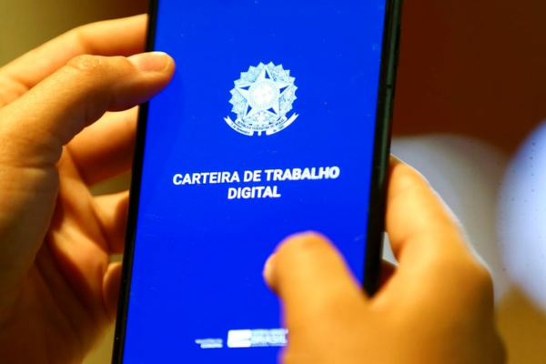Economia do Piauí em Alta: Empregos, Exportações e Investimentos Sustentáveis