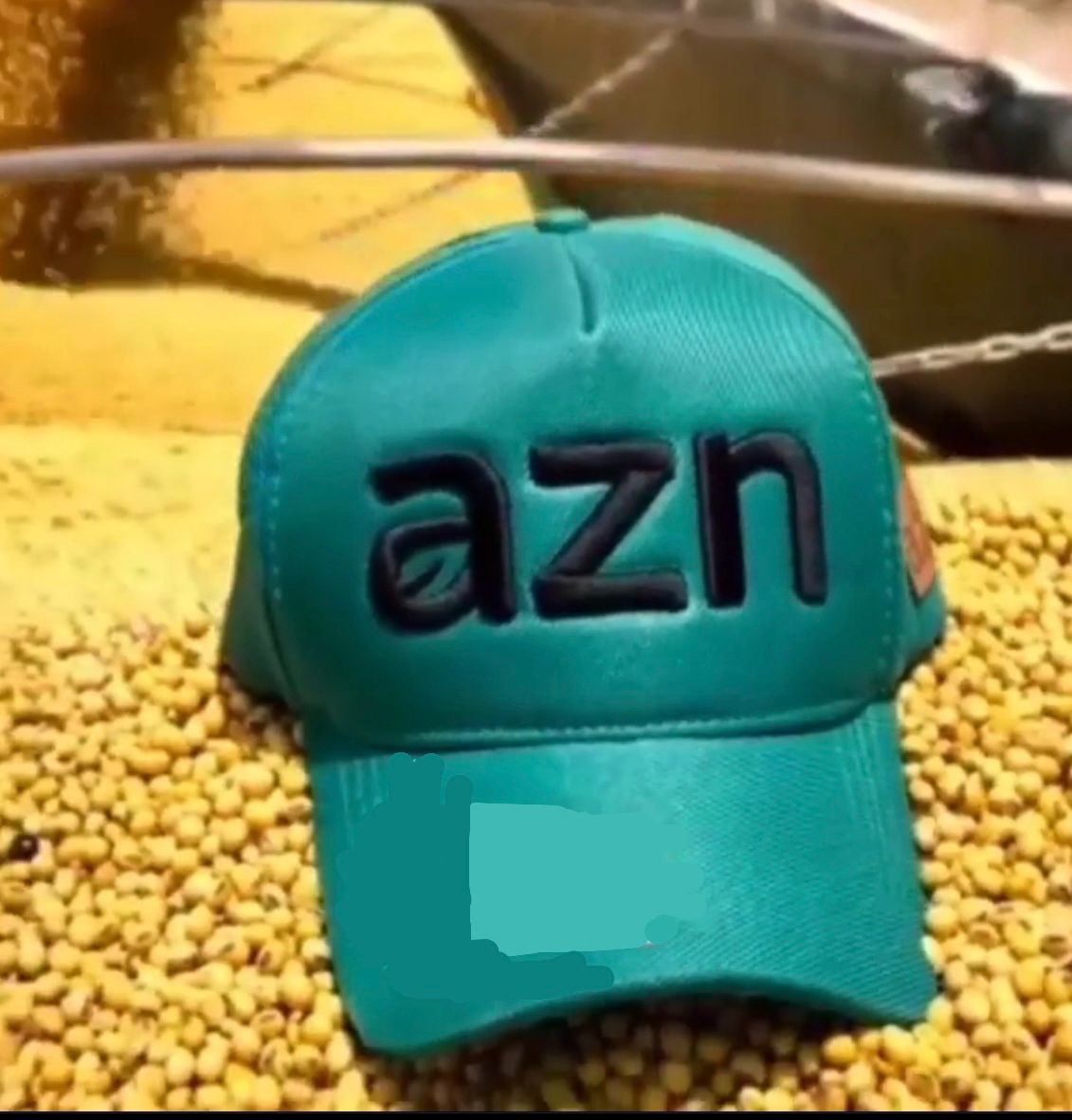 A Ascensão do Agronegócio: O Caso da Fazenda Emaflor e o Grupo AZN