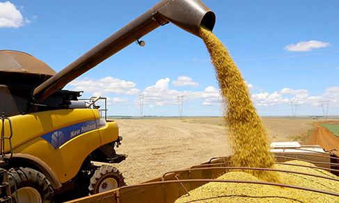 Puxado pela Agropecuária, PIB avança 1,4% no primeiro trimestre