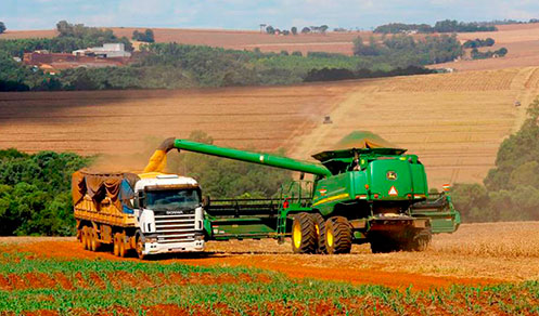 Estimativa de maio aponta safra recorde de 332,6 milhões de toneladas em 2025, alta de 13,6%