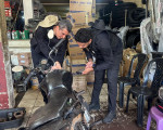 6º Fase da Operação Rastreados em Piripiri - Foto: Divulgação/SSP-PI