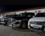 Draco e Feisp desarticulam organização criminosa composta por família no PI - Foto: Divulgação/SSP-PI