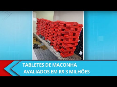 Polícia apreende 293 tabletes de maconha avaliados em R$ 3 milhões em Valença - Alô Lupa 1