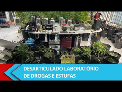 Polícia descobre estufas de maconha em sítio de advogado na zona rural de Teresina
