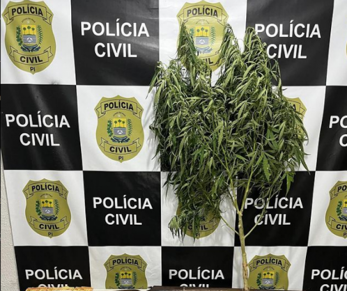 ​Suspeito de liderar facção criminosa é preso por tráfico de drogas no Piauí