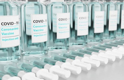 Laboratórios veterinários podem produzir vacinas contra Covid-19