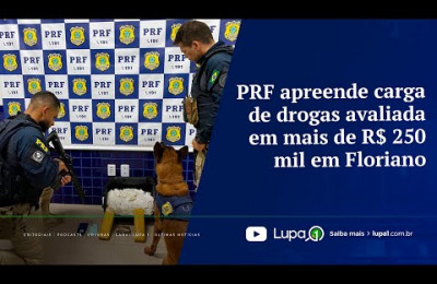 PRF apreende carga de drogas avaliada em mais de R$ 250 mil em Floriano