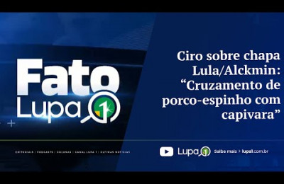 Ciro sobre chapa Lula/Alckmin: “Cruzamento de porco-espinho com capivara”