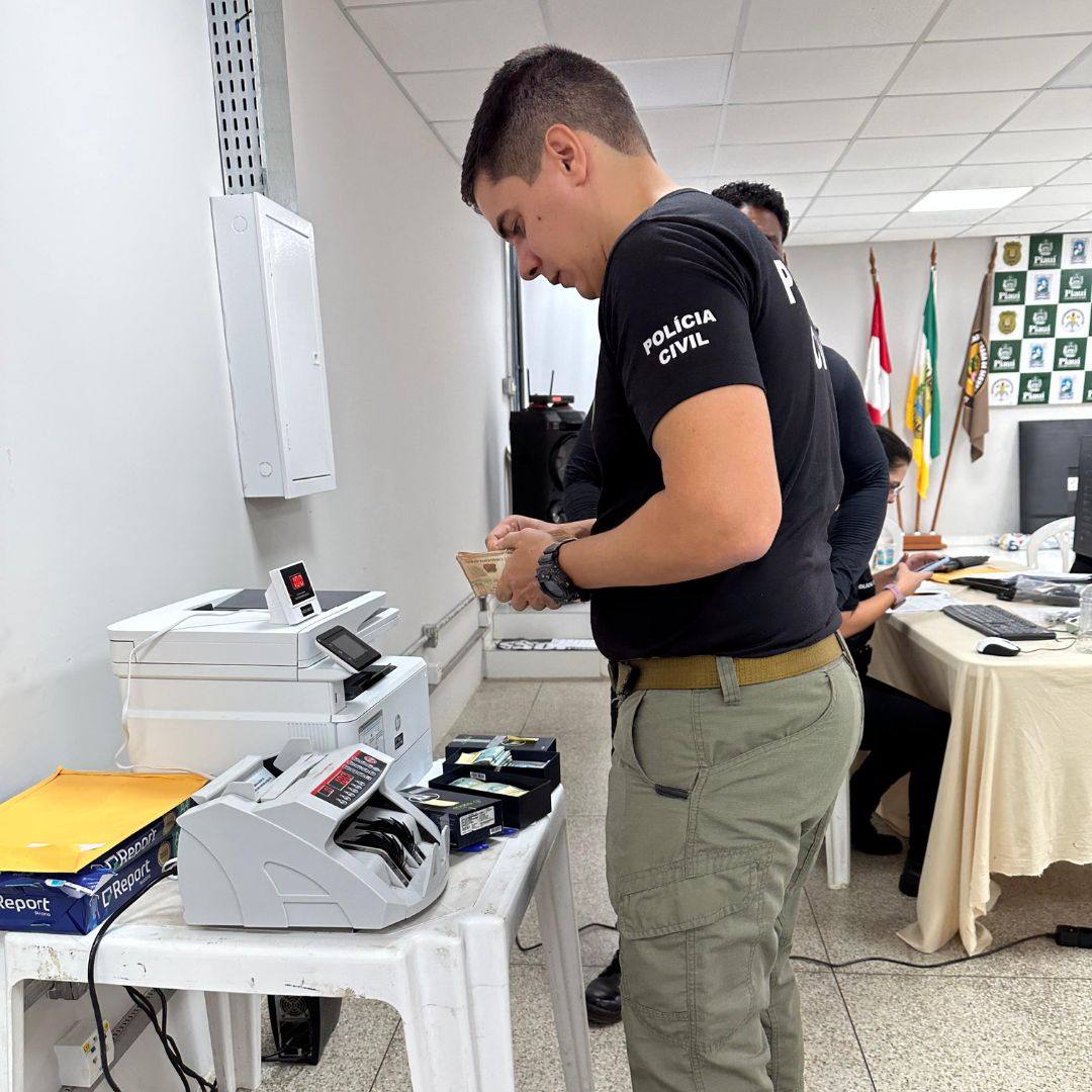 Operação da Polícia Civil