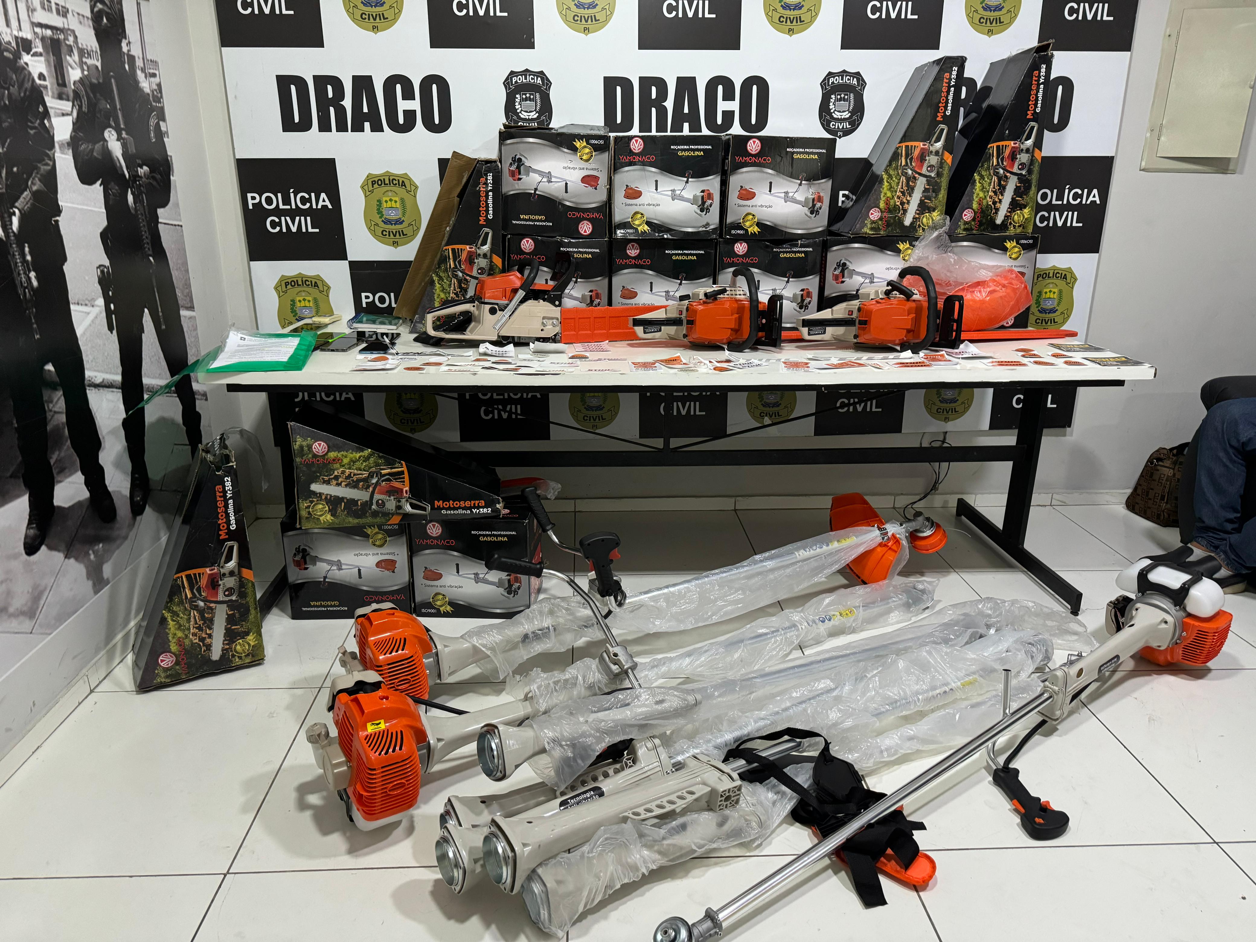 Draco e Feisp desarticulam organização criminosa composta por família no PI - Foto: Divulgação/SSP-PI