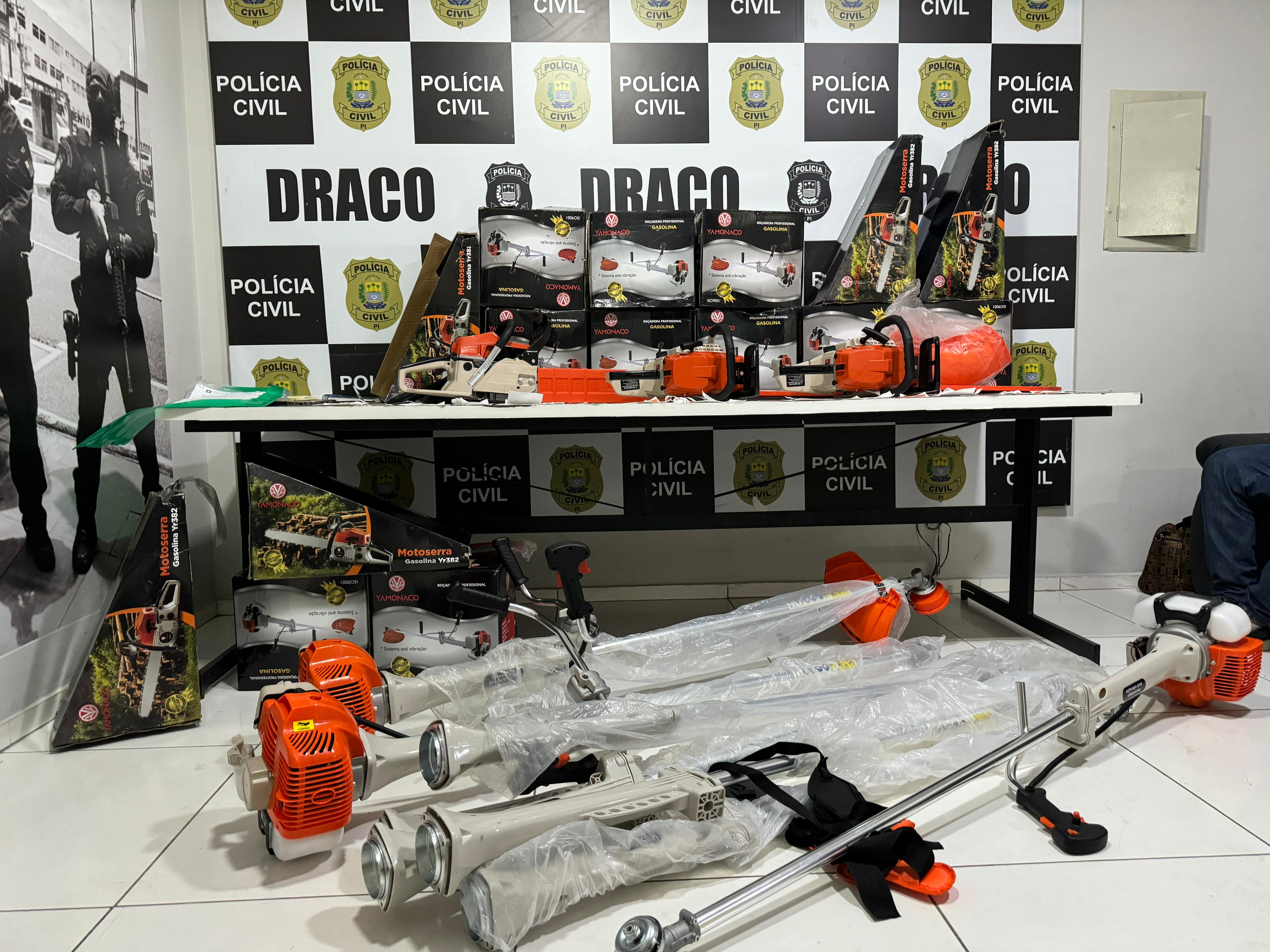 Draco e Feisp desarticulam organização criminosa composta por família no PI - Foto: Divulgação/SSP-PI