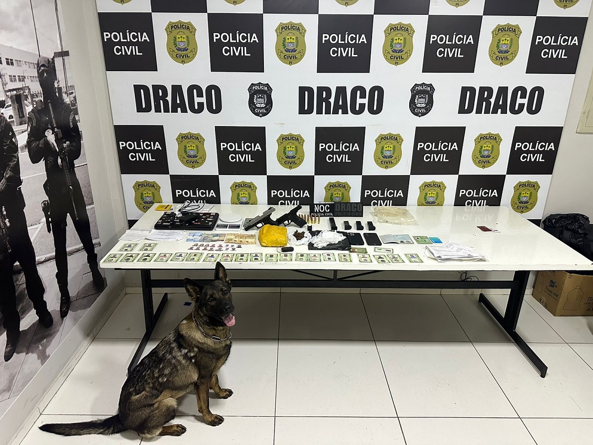 Apreensões da Operação Draco 142 - Foto: Divulgação/ SSP-PI