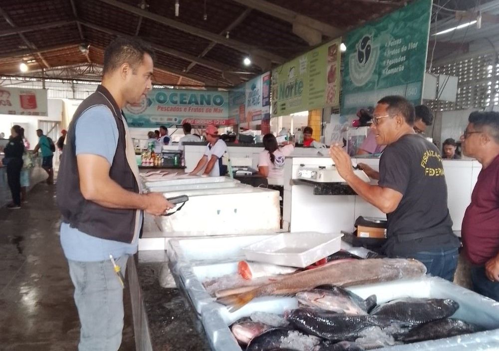 Operação Páscoa: Imepi realiza fiscalização no Mercado do Peixe
