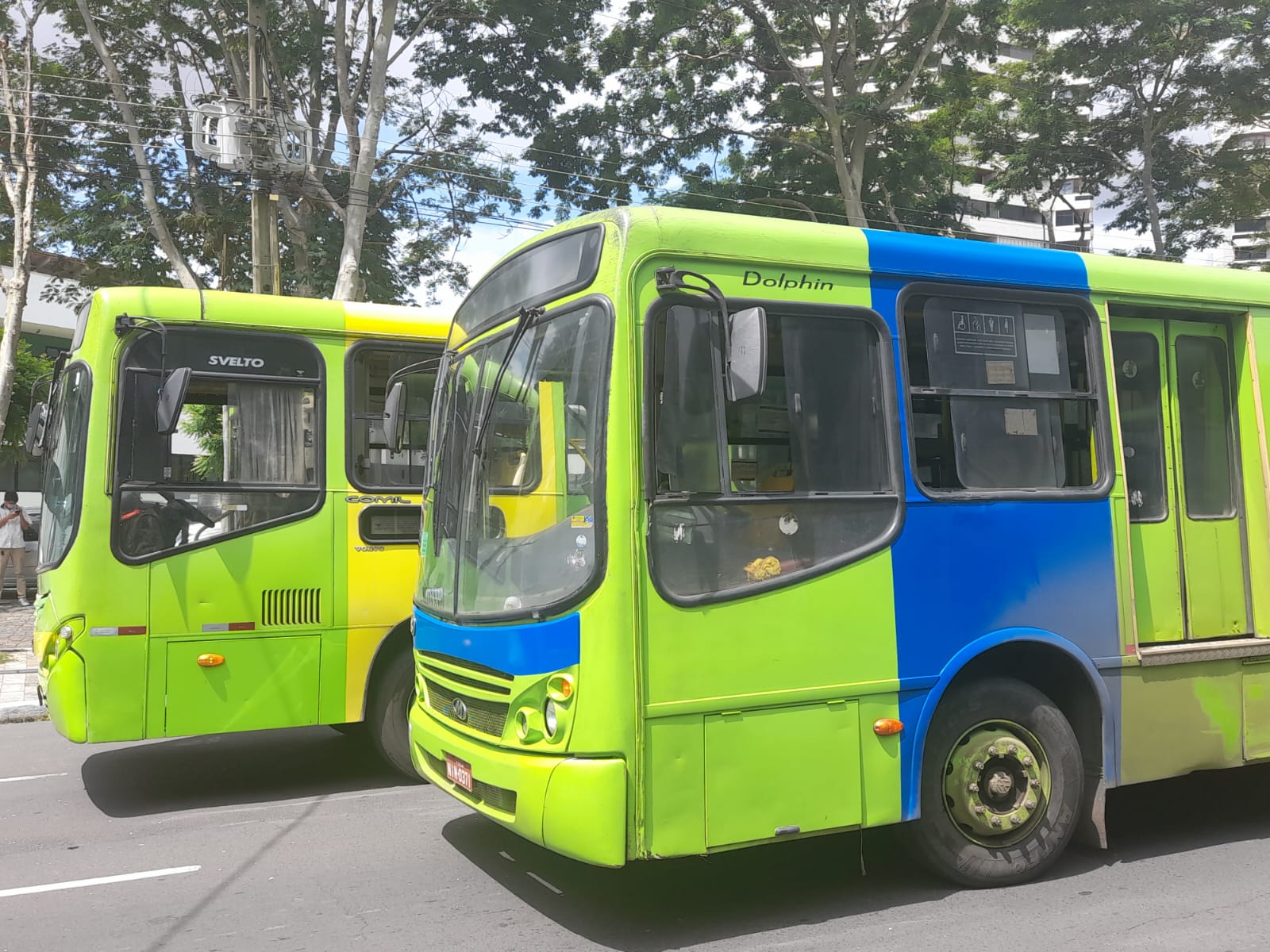 Desembargador determina retorno imediato de 100% dos ônibus em Teresina
