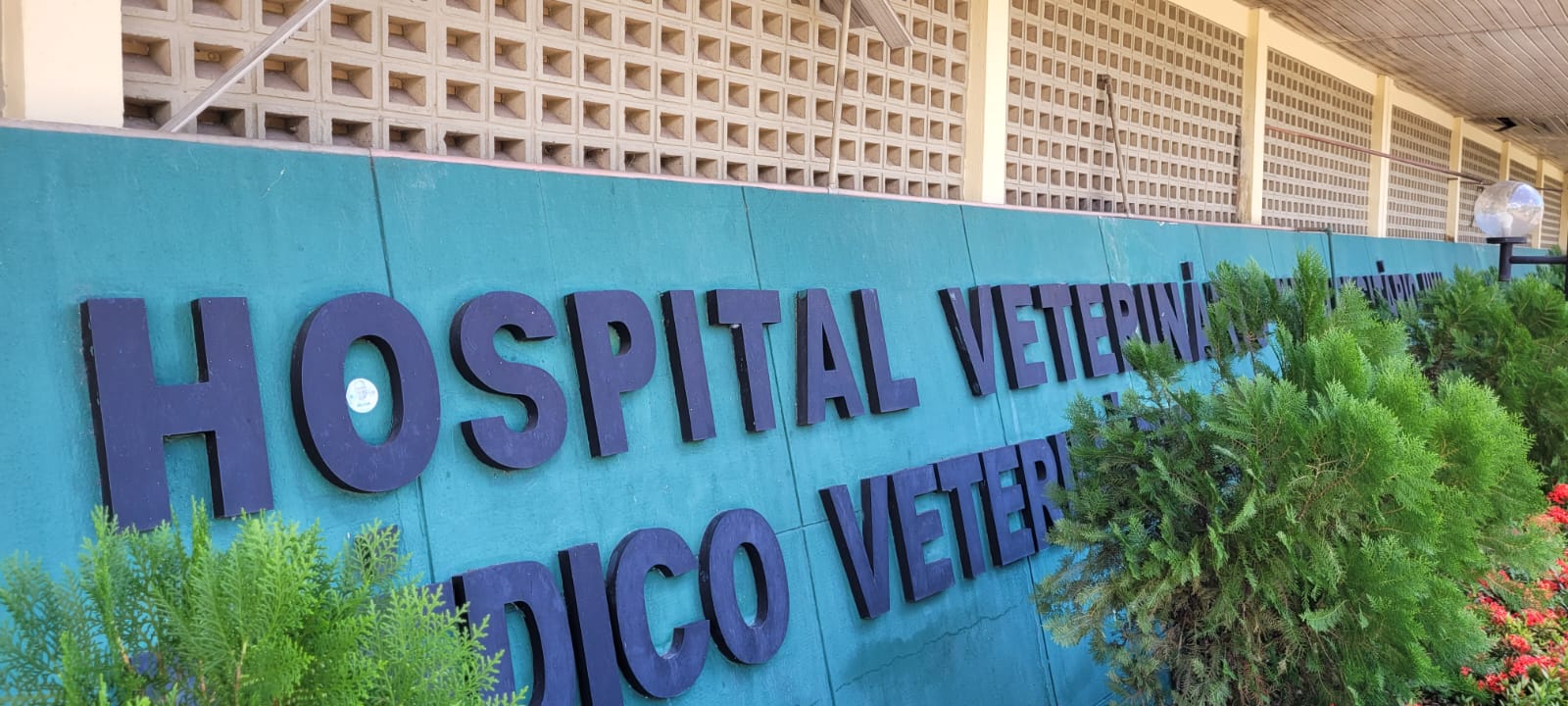 Agendamento de consultas é suspenso no Hospital Veterinário da UFPI durante greve