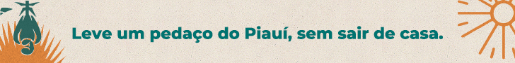 Campanha Made in Piauí